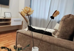 Апартаменты Апартаменты на Ленина улица, 11 в Камышине