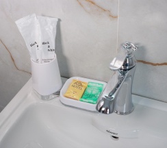 Номер люкс №207 в Hotel central