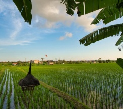 Вилла с 2 комнатами в Sotis Villa Canggu