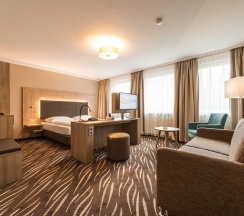 Одноместный номер Premium в Heikotel Hotel Windsor