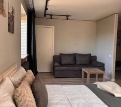 Трёхместные апартаменты c 1 комнатой в Квартира Rich House на Чапаева 23