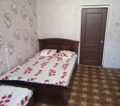 Четырехместный эконом в Виолетта