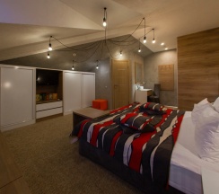 LOFT в Парадная