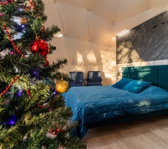 Купол «Петроглифы» в Aldi-Karelia