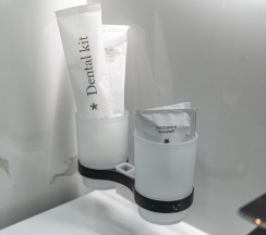 Стандарт deluxe в Pullman D | M
