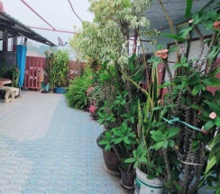 Номер Standard в Sabaydee House at Pai