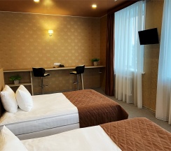 Двухместный люкс в Дружба