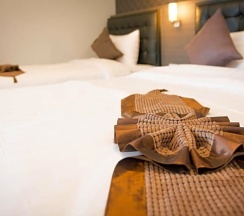 Одноместный номер Deluxe с видом на город двуспальная кровать в Picnic Hotel Bangkok