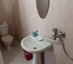 Стандарт в Мята