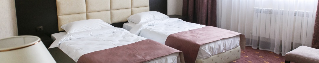 Двухместный номер с 2 односпальными кроватями в Park hotel