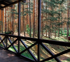 Номер "Делюкс" с балконом в Борвиха