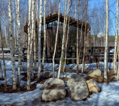 Тролль Дом M в Золотая долина