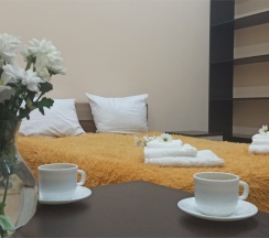 Двухместный номер (стандартный двухместный номер с кроватью king-size) в Spa-hotel Plaza