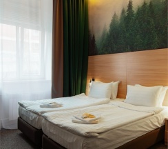 Стандарт двухместный в Хвоя