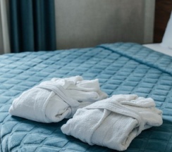 Люкс 2 корпус в Panorama SPA-Hotel