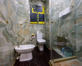 APPOLO в Malakhovka Palace