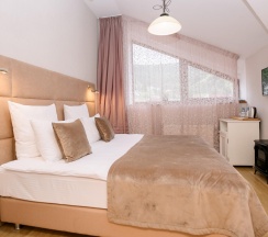 Номер стандарт в Губернский