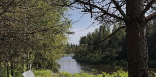 Каменица: Глэмпинг Каменецкие Купели
