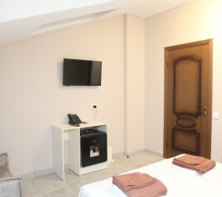 Комфорт трехместный в Триумф