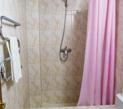 Номер стандарт с 1 односпальной и 1 двуспальной кроватью в Оптима