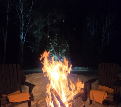 Дом в В ритме леса