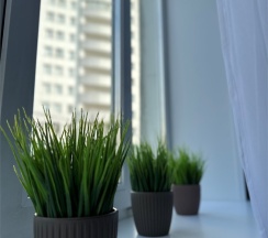 Апартаменты i-Mood в I9.9 Apartments