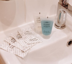 Премиум комната в Кауфман хаус