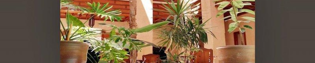 Одноместный полулюкс в Riad Al Ksar & Spa