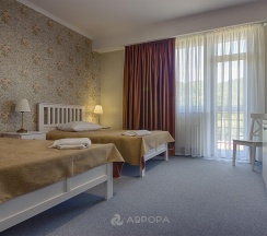 3-местный номер стандарт семейный в Аврора