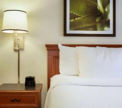 Двухместный номер Deluxe (2 отдельные кровати) в La Quinta Inn by Wyndham Austin Capitol / Downtown