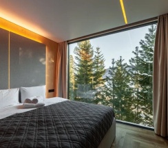 Полулюкс в Телецкое Золотое