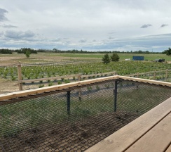 Большая дача с террасой в Синий Яр