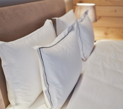 Номер Классик с двуспальной кроватью c видом на реку и террасой в Grand Chalet Altay