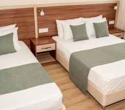 Трехместный Стандарт в Можжевеловый парк