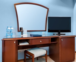 Стандартный номер в Александровский сад