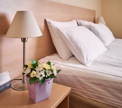 Стандарт Улучшенный с двуспальной кроватью в Центральный by USTA Hotels