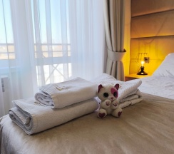 Трехместный полулюкс (DBL/SGL/Triple)  в Никольское