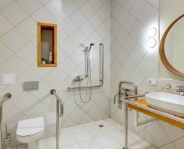 Одноместный номер - Подходит для гостей с ограниченными физическими возможностями в Лимонад