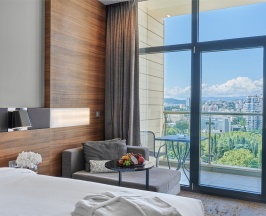 Номер Superior, с видом на город - с 2 односпальными кроватями в Pullman Sochi Centre
