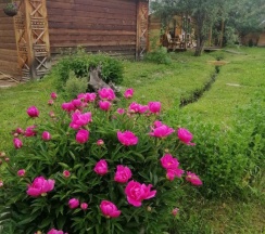 Русский домик в Алтайна 1*