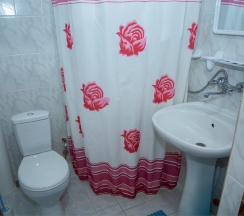 Классический в Дельфин