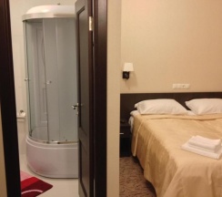 Комната стандарт с 1 двуспальной кроватью в Щедрино