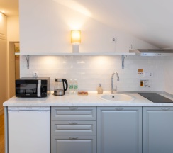 Студия с Мансардными окнами в Кarl House