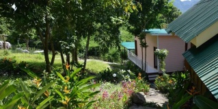 Пхи-Пхи-Дон: Гостевой дом Phi Phi Jungle Hill Bungalow