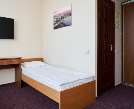 Номер стандарт с 1 односпальной кроватью в Термы Плюс