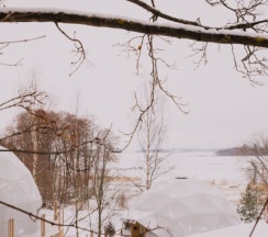 Глэмп №7 уединенный на дереве в Vyborg Bay