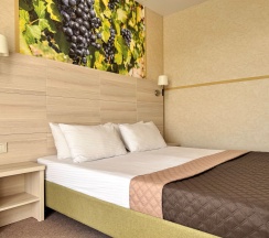 Коннект 2-х комн 5-местный (Этаж под ключ) в Лоза Хутор