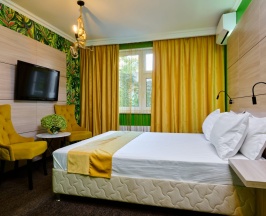 Двухместный номер Делюкс в Сова