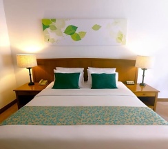 Двухместный номер Deluxe двуспальная кровать в Woodlands Hotel & Resort