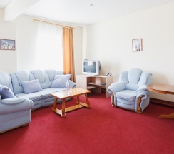 Стандарт двухместный ПЛЮС в Волга-Волга